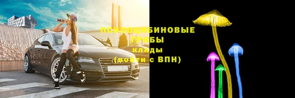 тгк Арсеньев